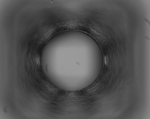 X0000093091155200710171131