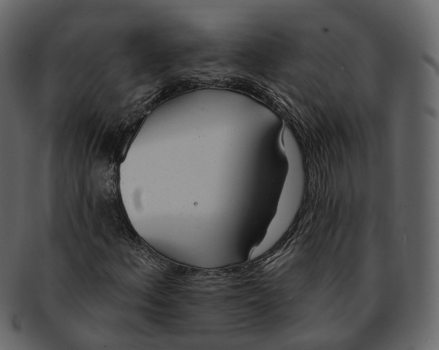 X0000093091156200710171131