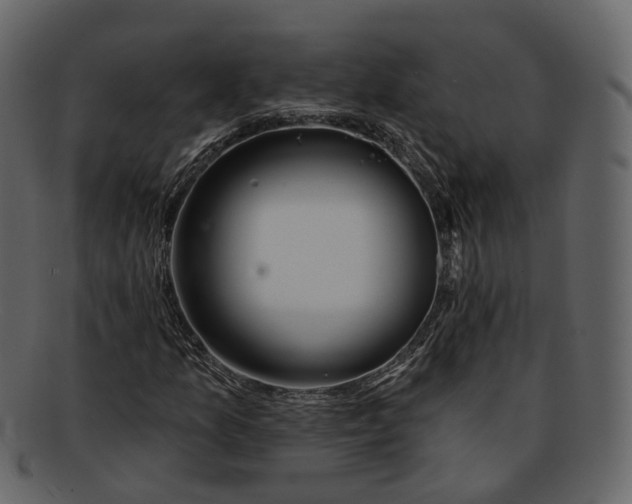 X0000093091157200710171131