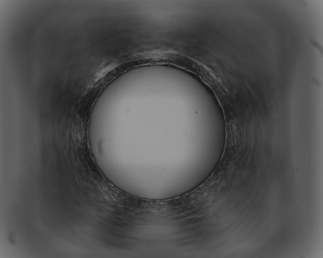 X0000093091158200710171131