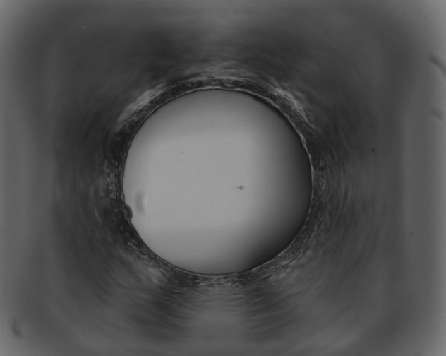 X0000093091159200710171131