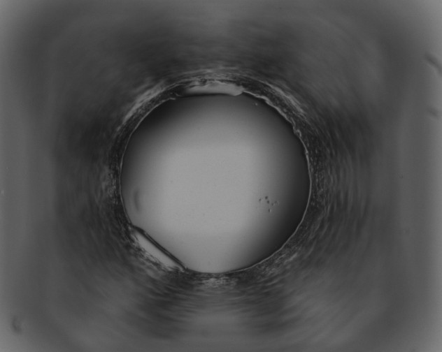 X0000093091160200710171131