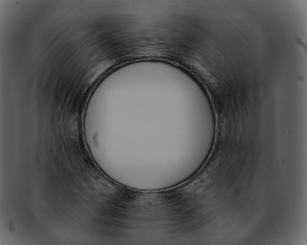 X0000093091162200710171131