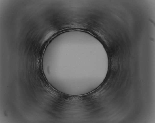 X0000093091163200710171131