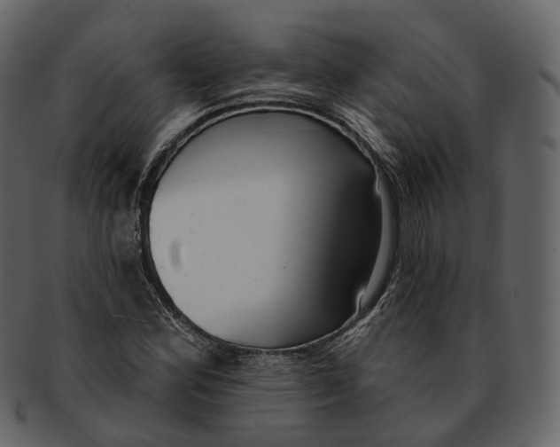 X0000093091164200710171131