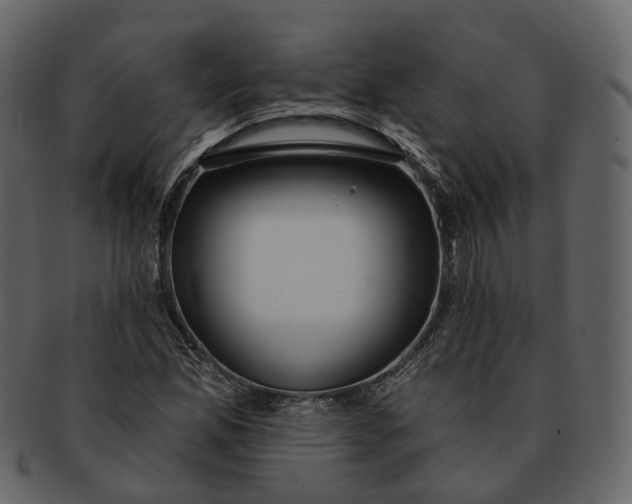 X0000093091165200710171131