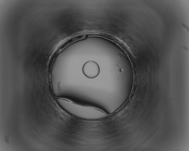 X0000093091168200710171131