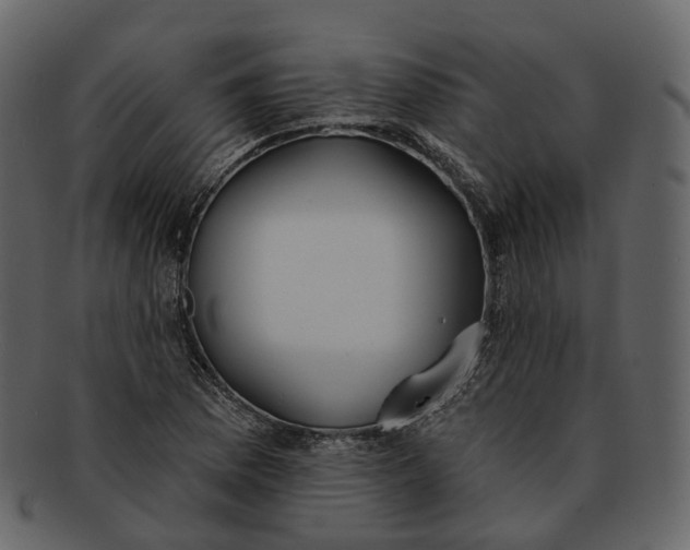 X0000093091169200710171131