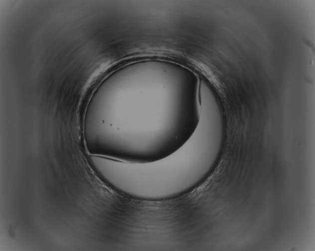 X0000093091172200710171131