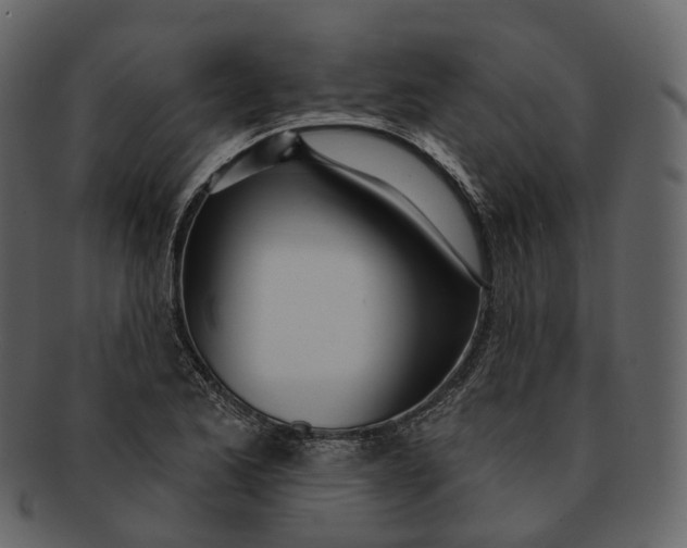 X0000093091173200710171131