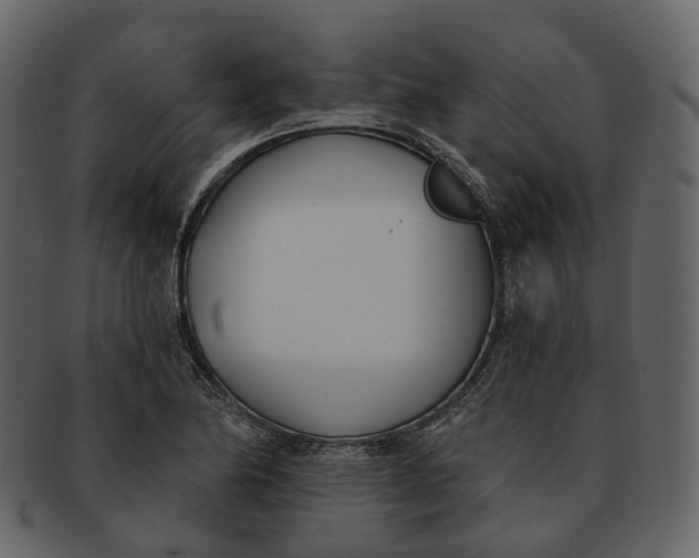 X0000093091174200710171131