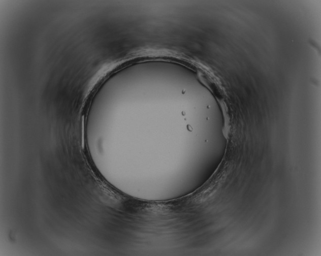 X0000093091175200710171131