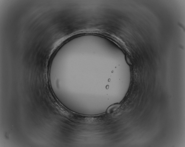 X0000093091176200710171131