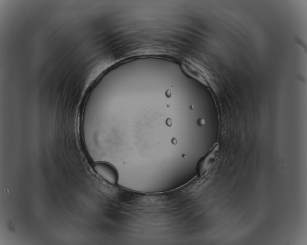 X0000093091179200710171131