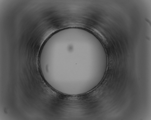 X0000093091182200710171131