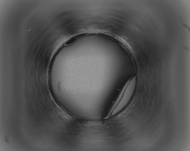 X0000093091183200710171131