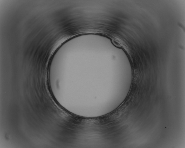 X0000093091187200710171131