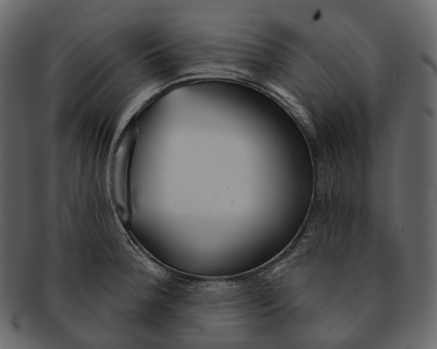 X0000093091188200710171131