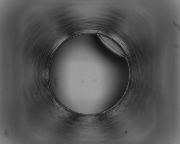 X0000093091193200710171131