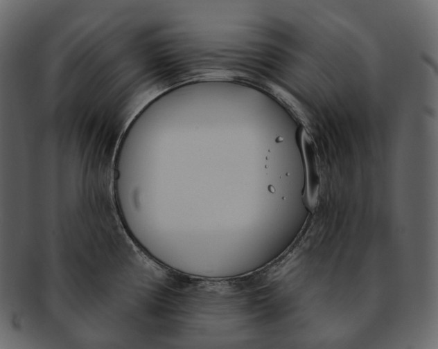 X0000093091194200710171131