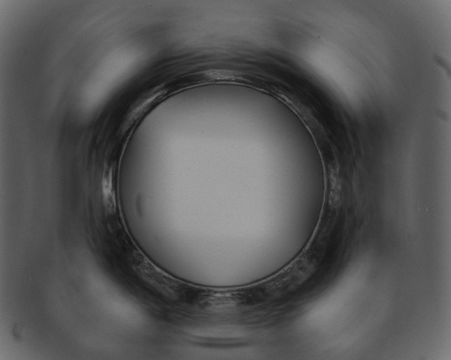 X0000093091198200710171131