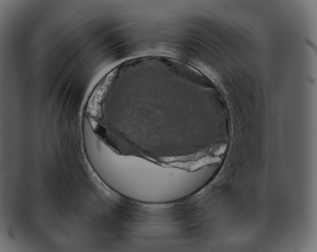 X0000093091200200710171131