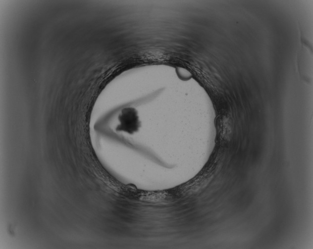 X0000093091201200710171130