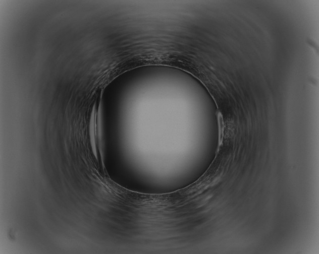 X0000093091202200710171130