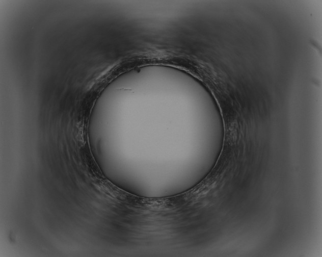 X0000093091205200710171130