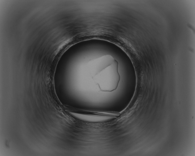 X0000093091210200710171130