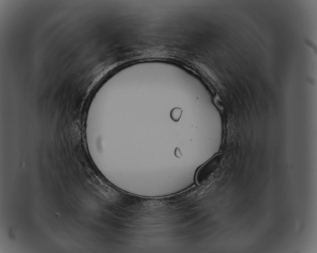 X0000093091212200710171130