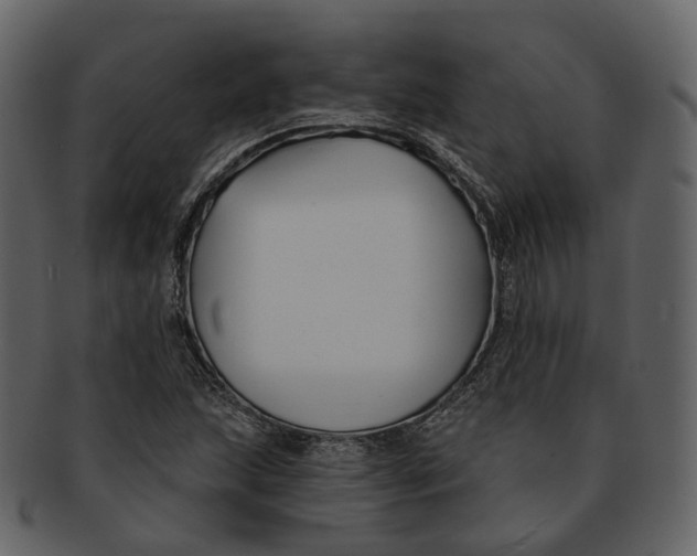 X0000093091215200710171130