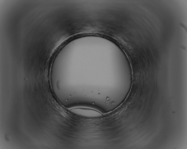 X0000093091216200710171130