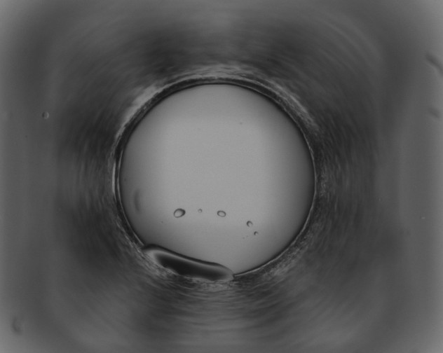 X0000093091224200710171130