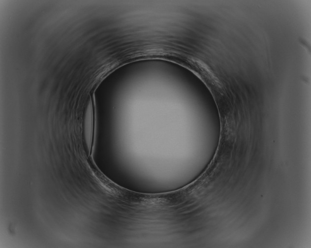 X0000093091225200710171130