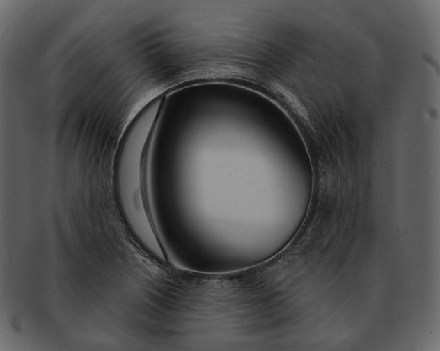 X0000093091226200710171130