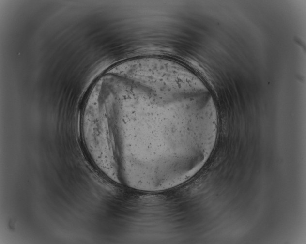 X0000093091227200710171130