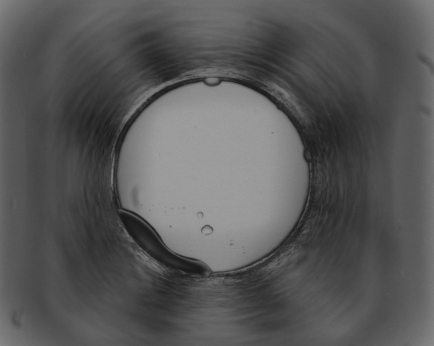 X0000093091228200710171130