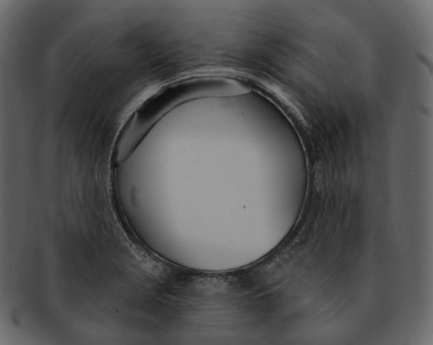 X0000093091229200710171130