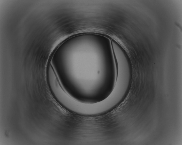 X0000093091230200710171130