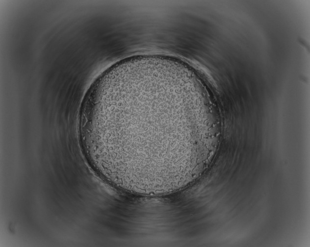 X0000093091231200710171130