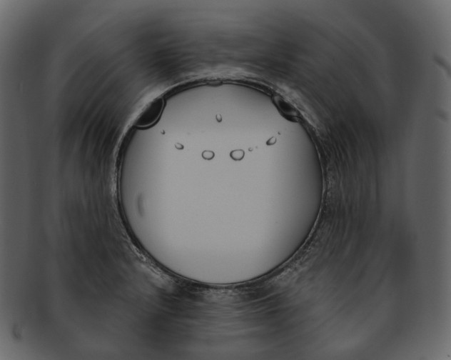 X0000093091232200710171130