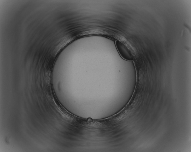 X0000093091233200710171130