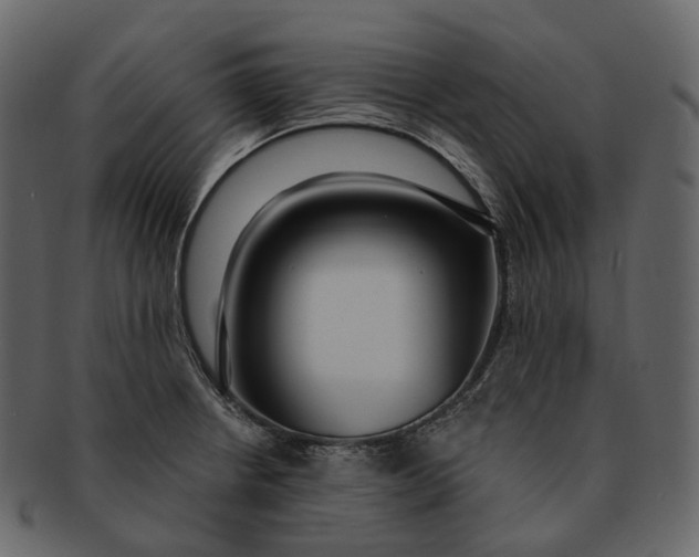 X0000093091234200710171130