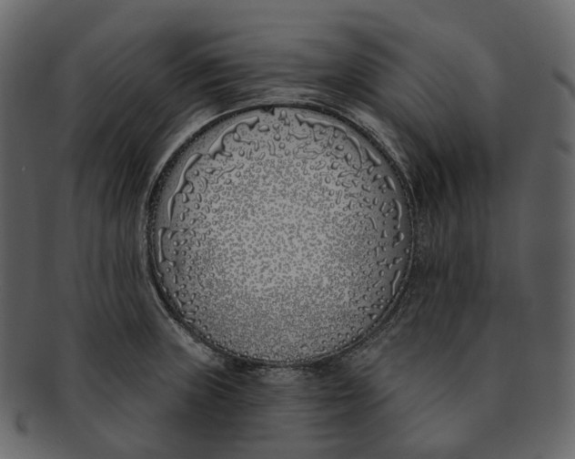 X0000093091235200710171130