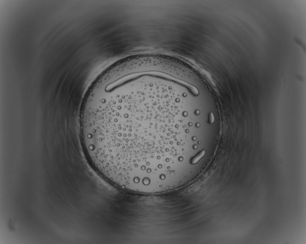 X0000093091239200710171130