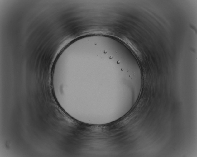 X0000093091240200710171130