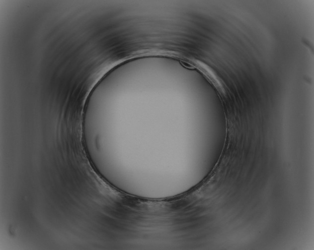 X0000093091244200710171131