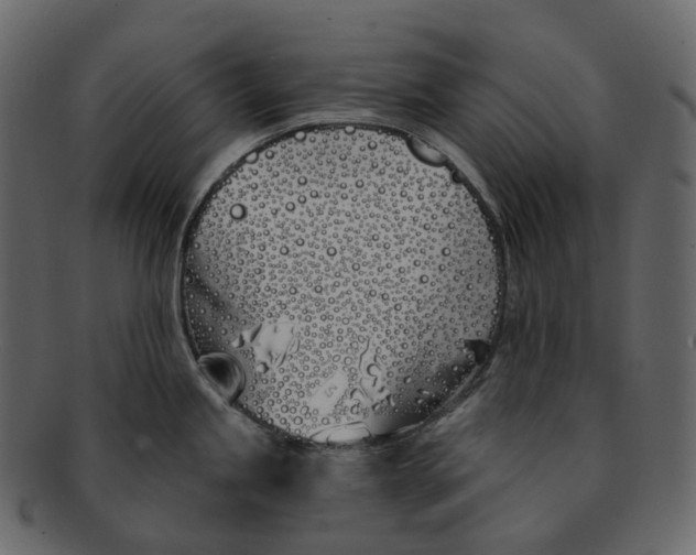 X0000093091245200710171131