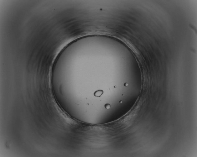 X0000093091246200710171131